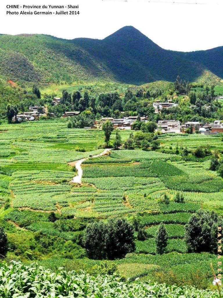 085 - Shaxi.JPG
